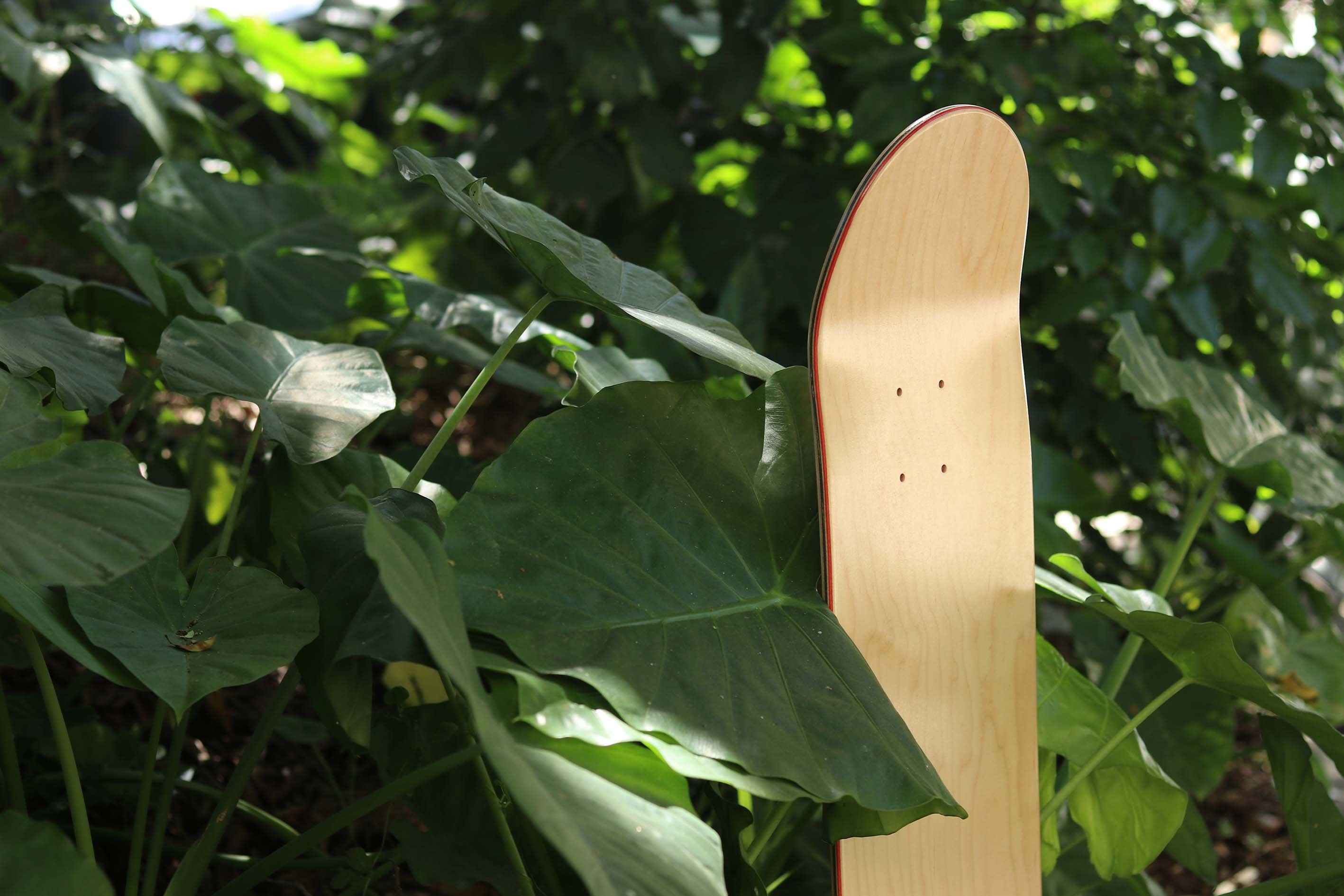 Skateboard Factory Production