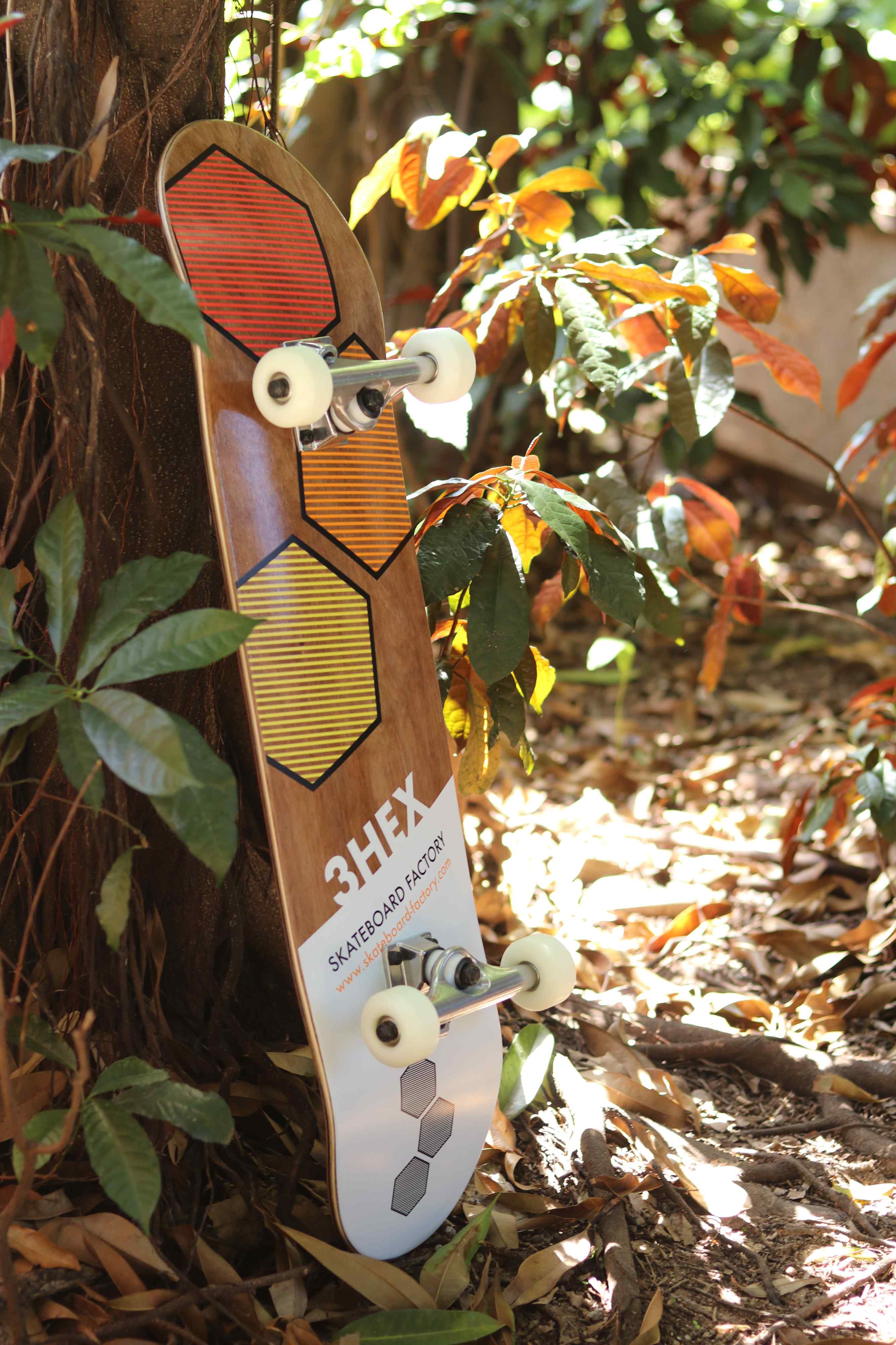 Skateboard Factory Production