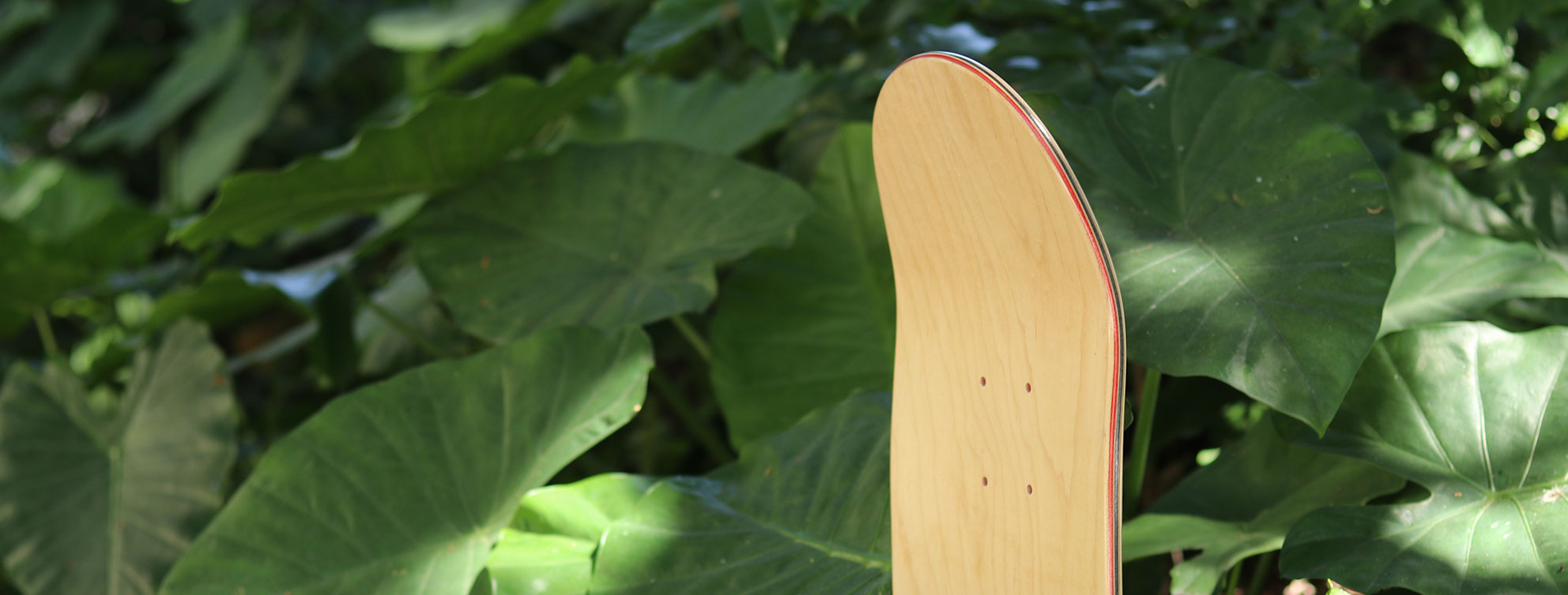 hardrock maple skateboard deck supplier