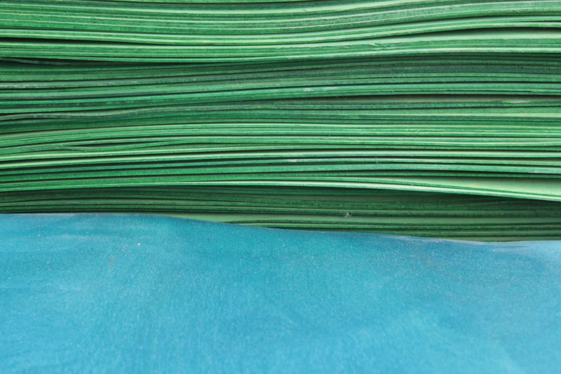 Skateboard Veneers Set